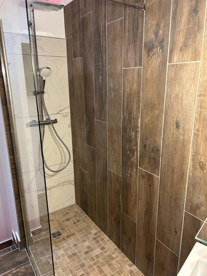 Chambre La Suite Pres Gare Grenoble Zewnętrze zdjęcie